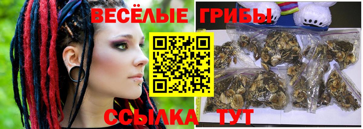 Галлюциногенные грибы Magic Shrooms Рыбинск